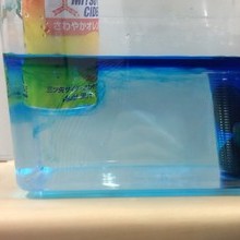 海洋大循環
